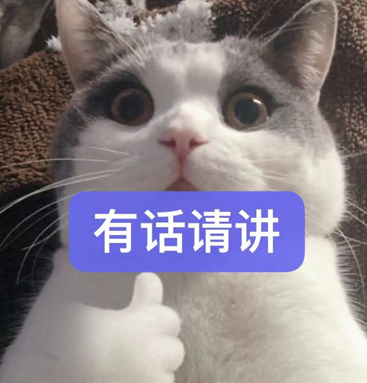 1648321297581096.jpg